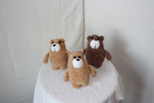 Bear Small